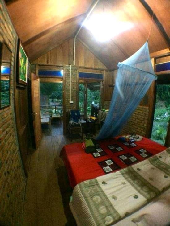 Thousand Hills Ketambe ,Room And Treking Lhokuenam Zewnętrze zdjęcie